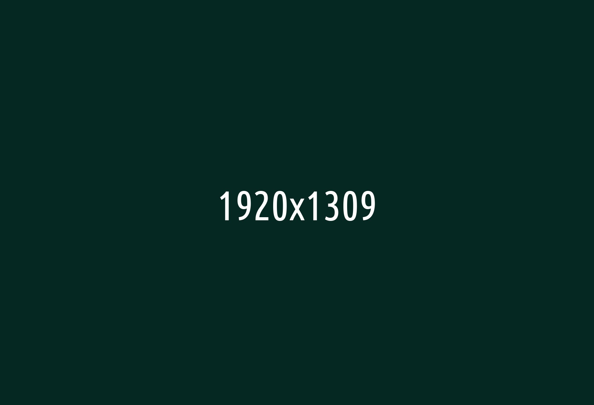 tlsr_politica_-15