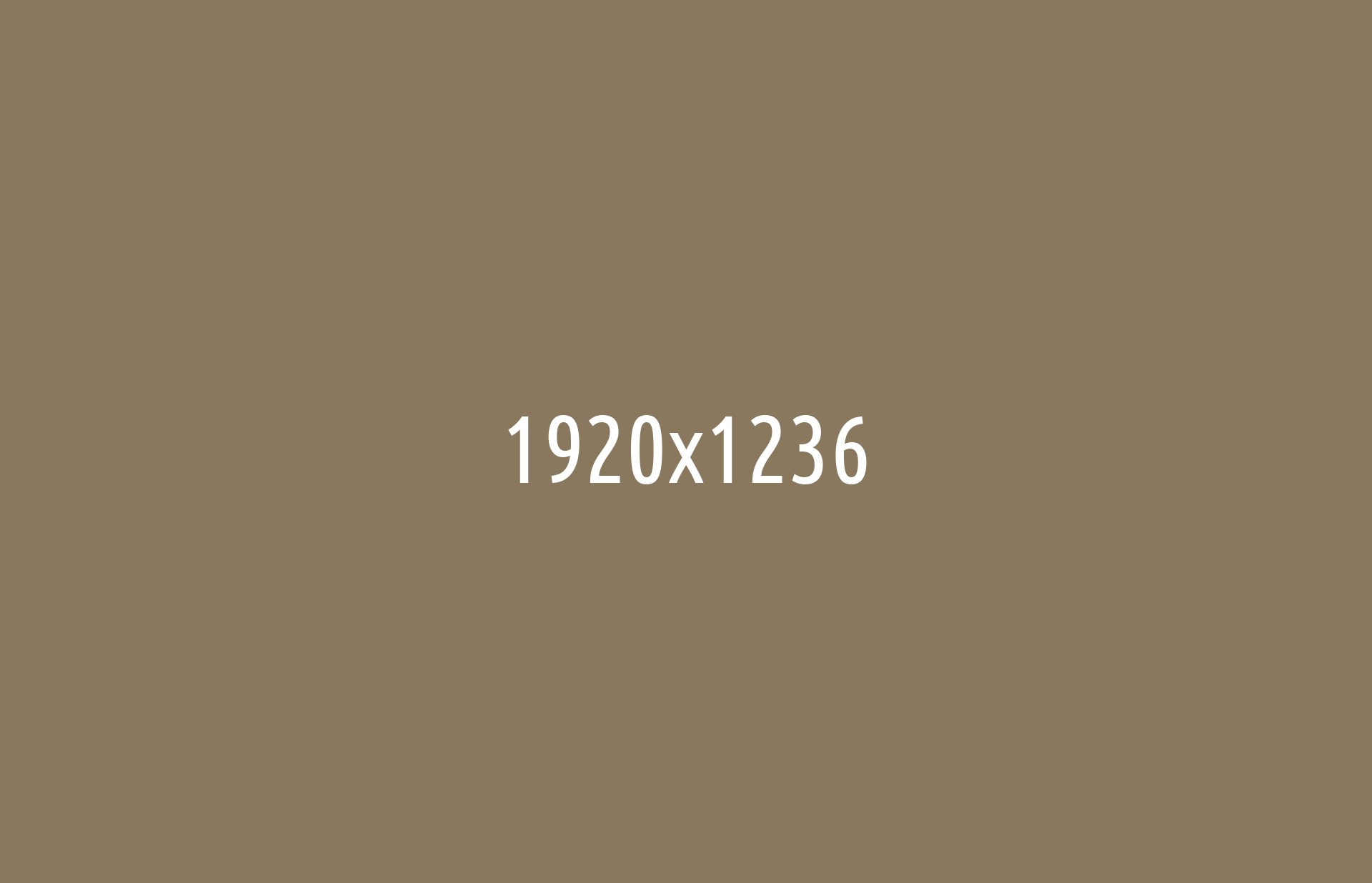 tlsr_politica_-4