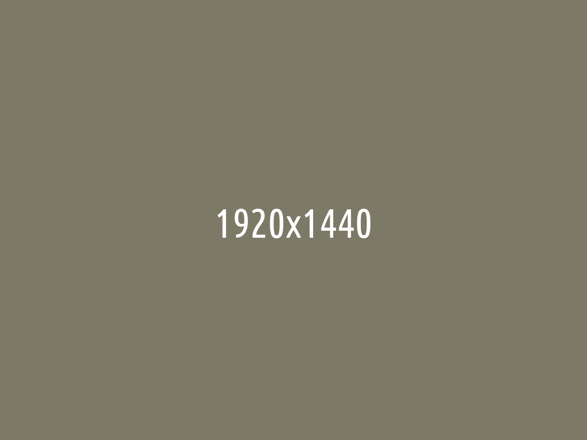 tlsr_politica_-7